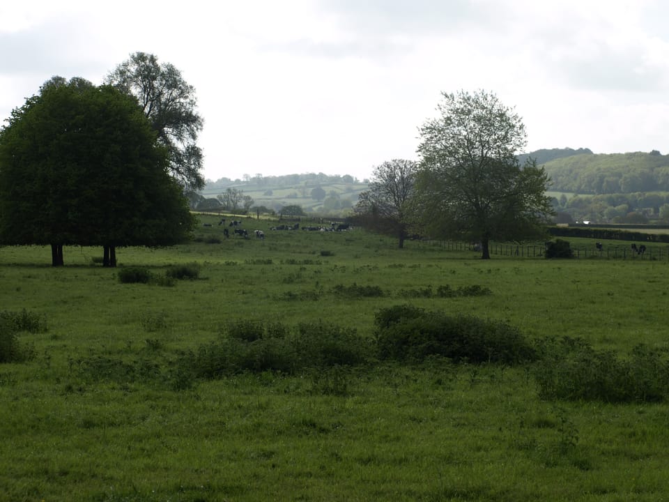 Open Countryside