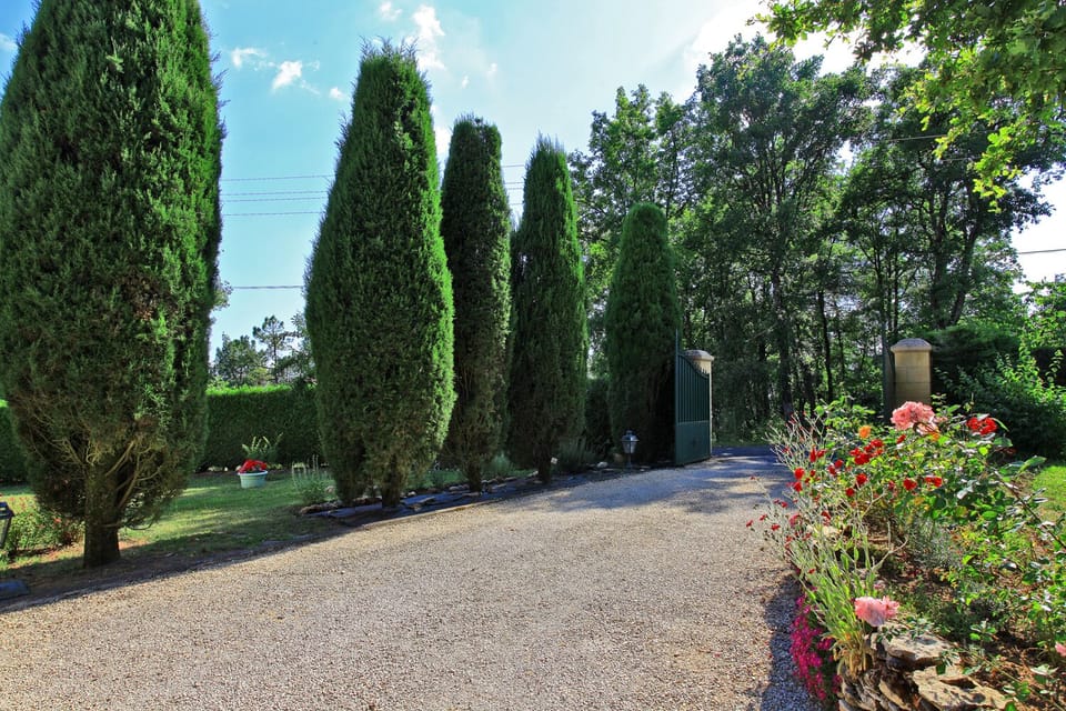 The entry of the house