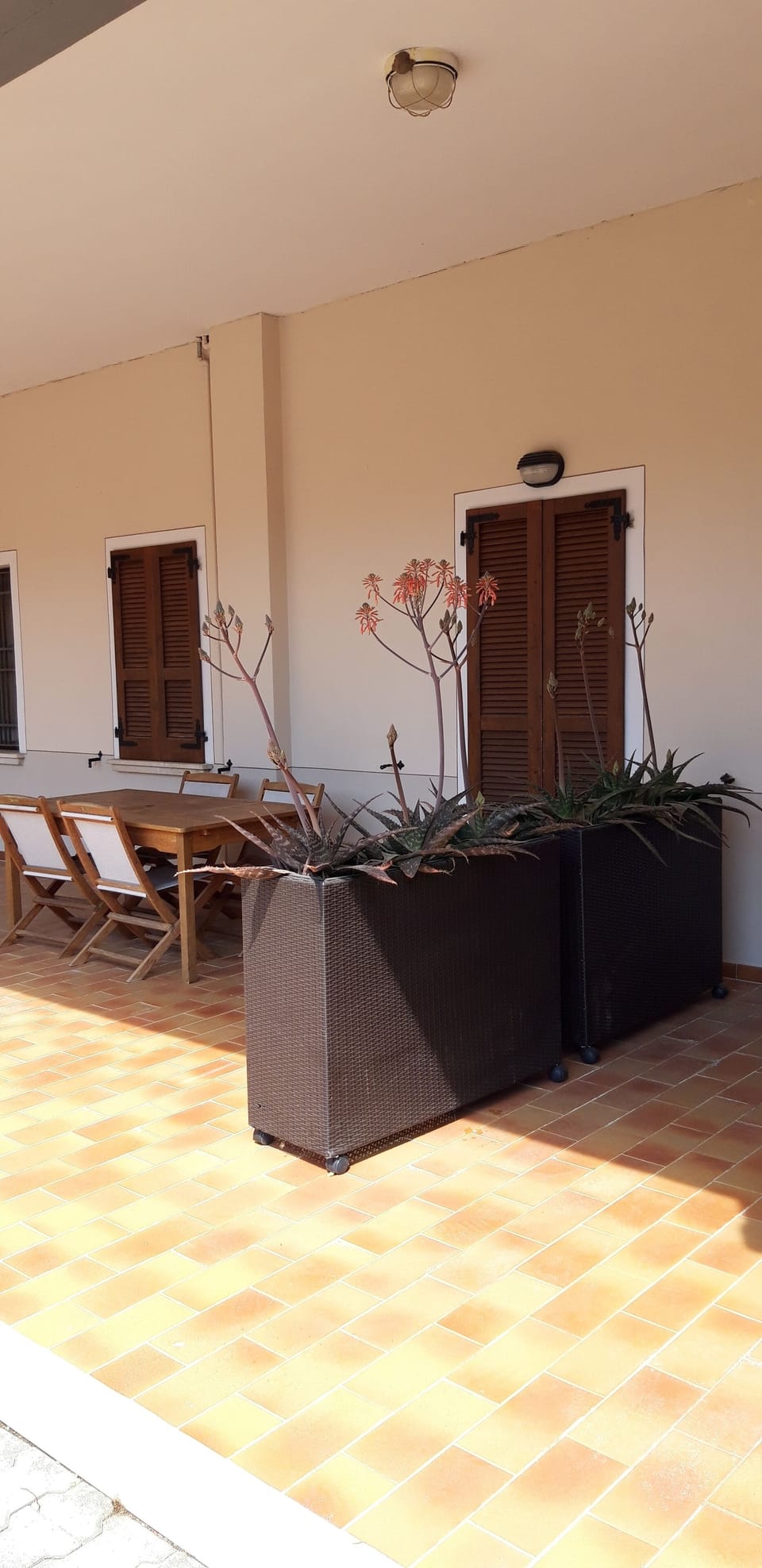 Outdoor dining