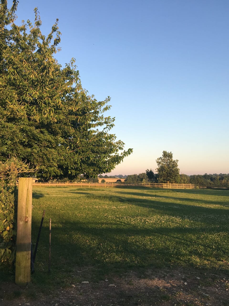 Our fields