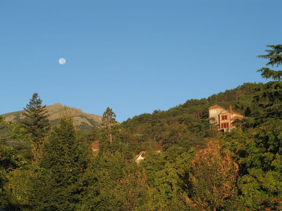 Surroundings: Fuente del Cura