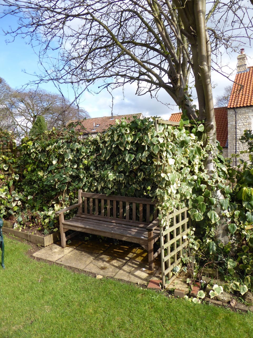Secluded seating area