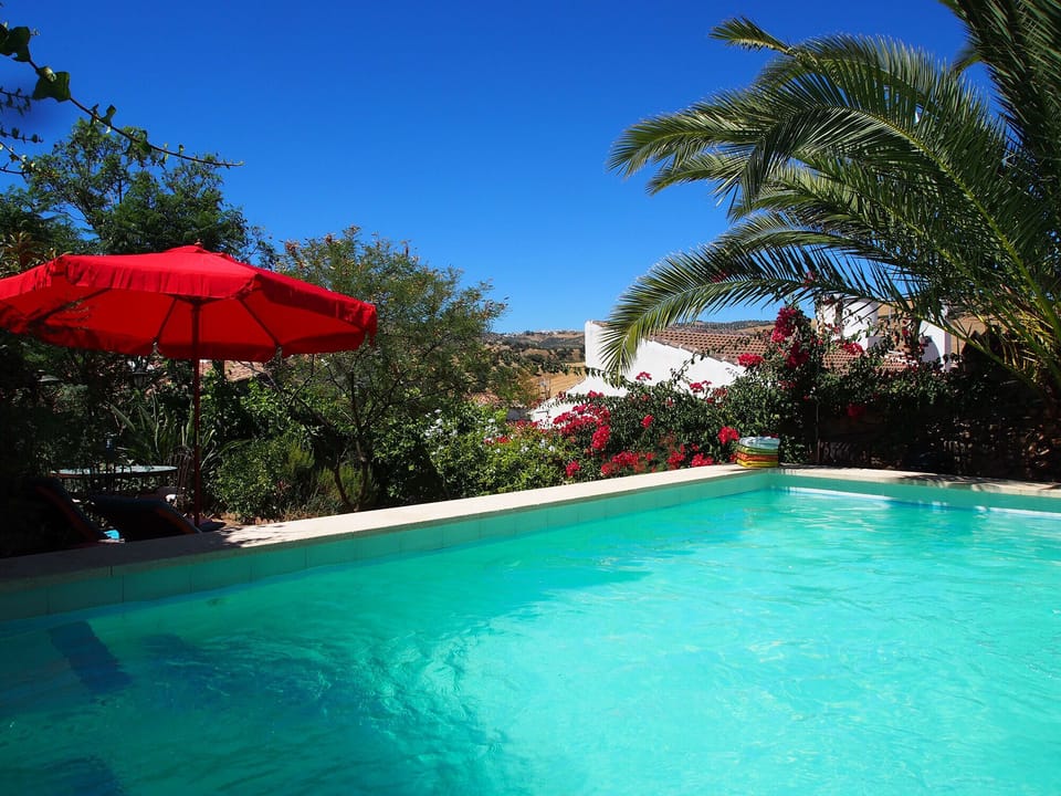 View from the pool
