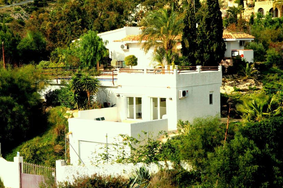  View of the house and garden