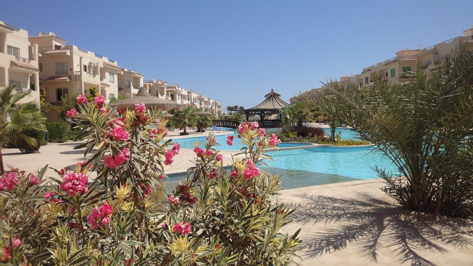 Pool area, with colourful plants