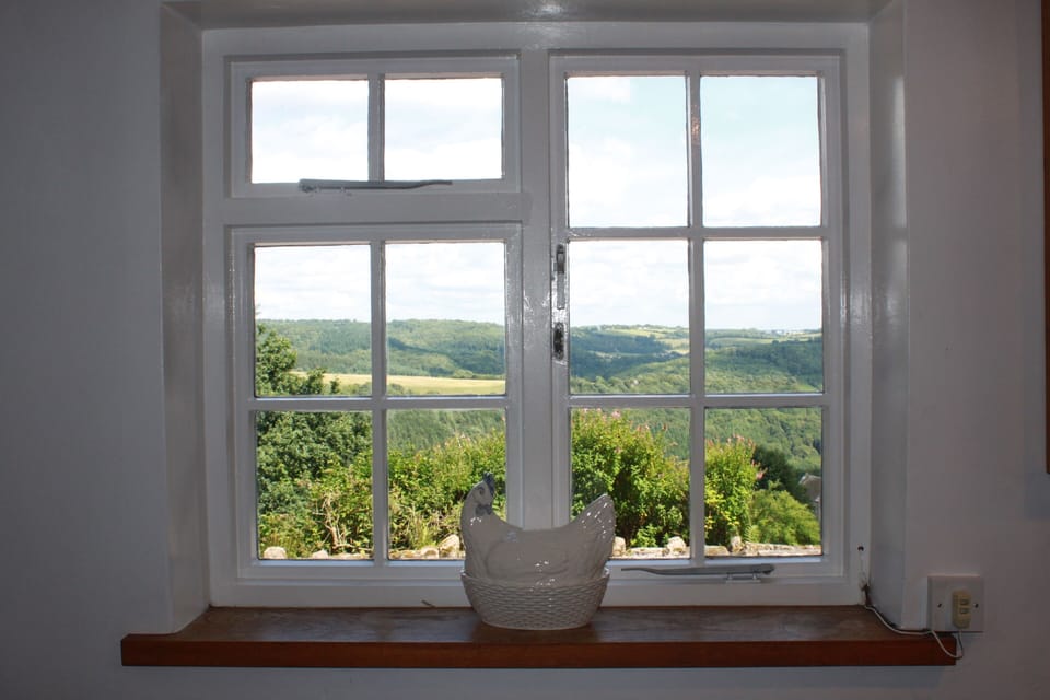 View through the kitchen window
