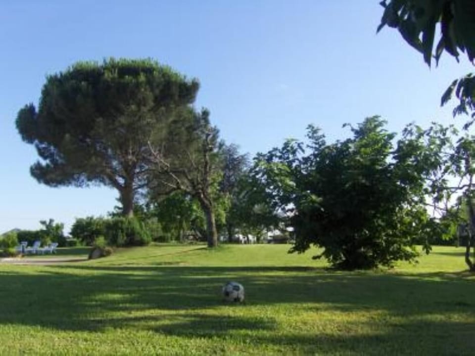 Garden, Park