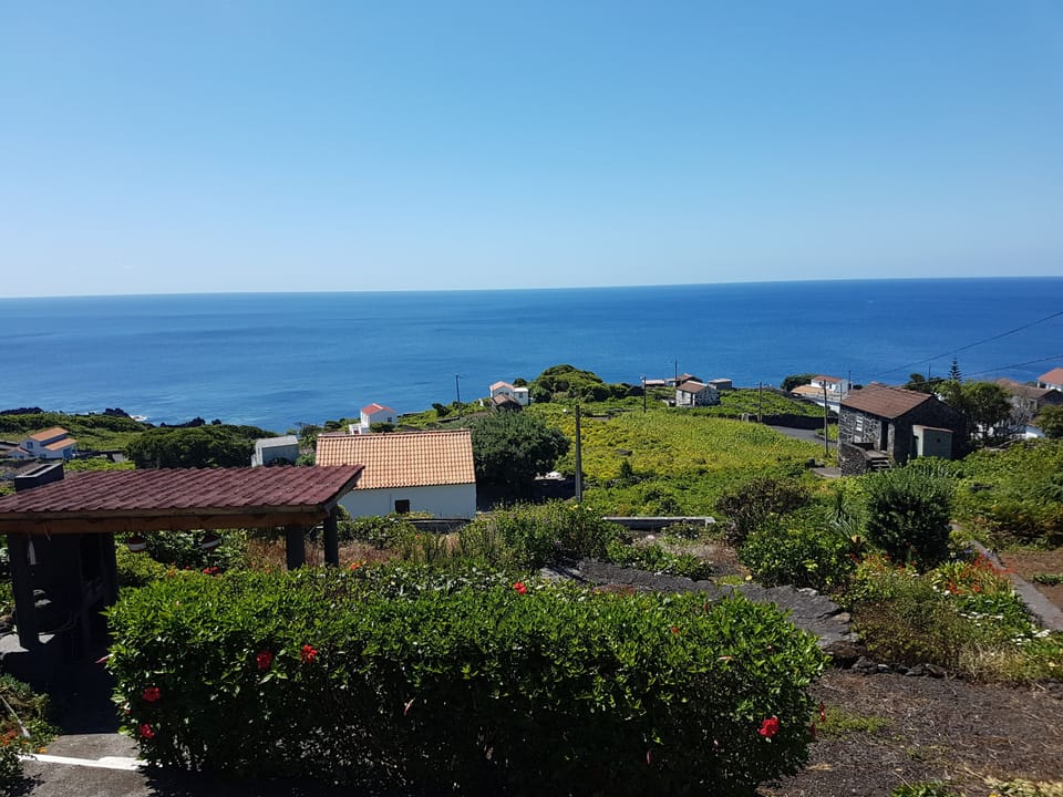 Ocean view from first floor