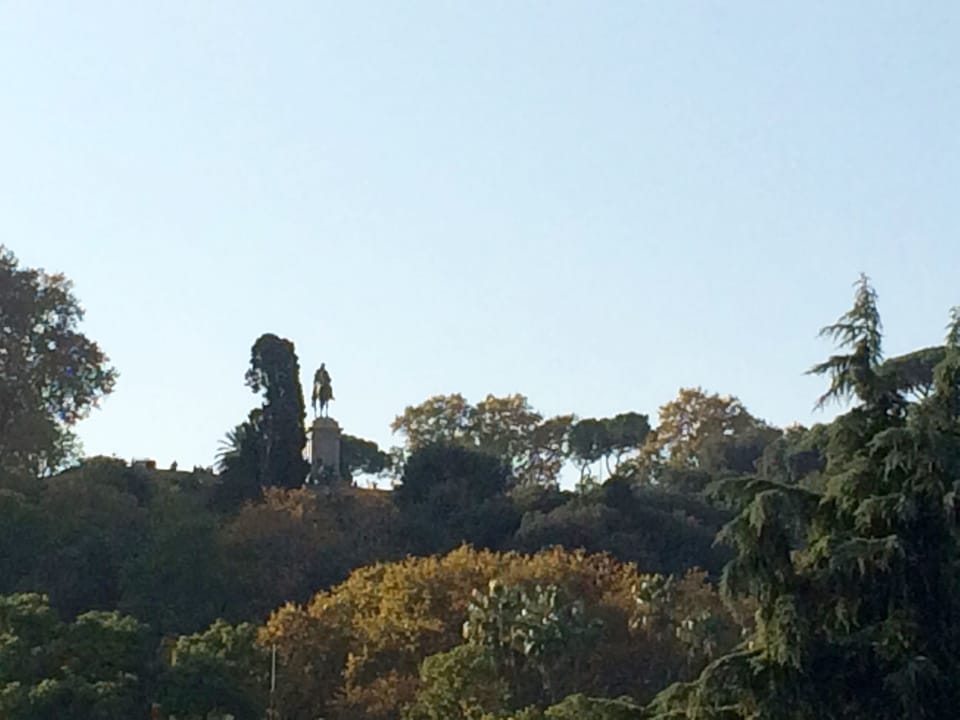 Garibaldi Roof Garden - Terrace with spectacular views of S. Peter and Gianicolo Apartment in Rome