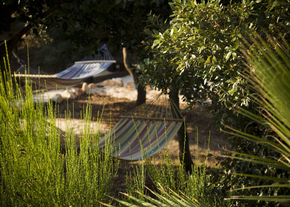 Hammocks in the trees