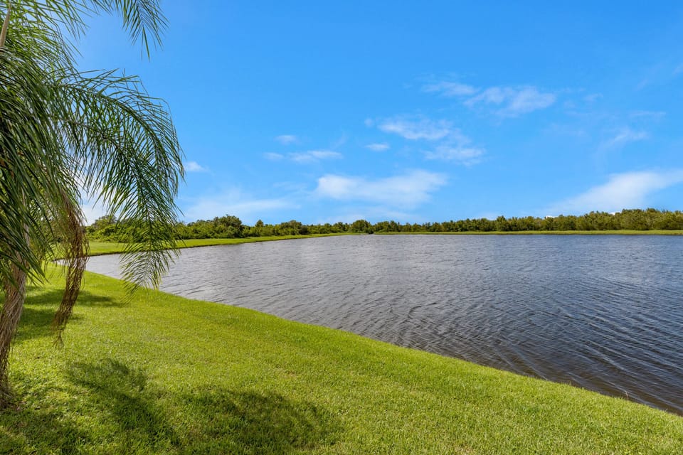 Lake view 
