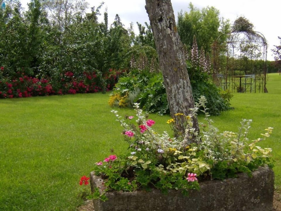 Garden, Park