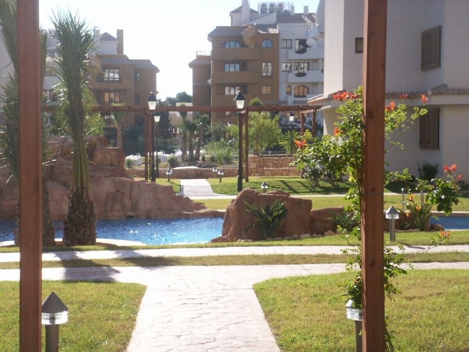Garden and pool 1 view