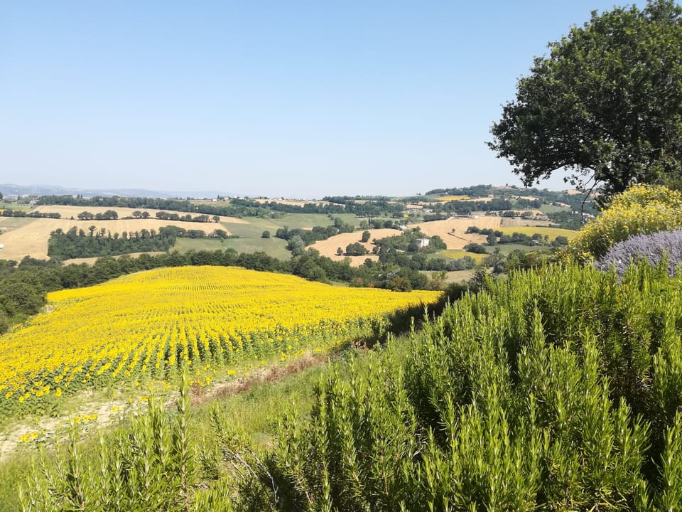 "Torre del Pettirosso" - Stunning Villa Overlooking Todi with a Private Pool Villa in Umbria