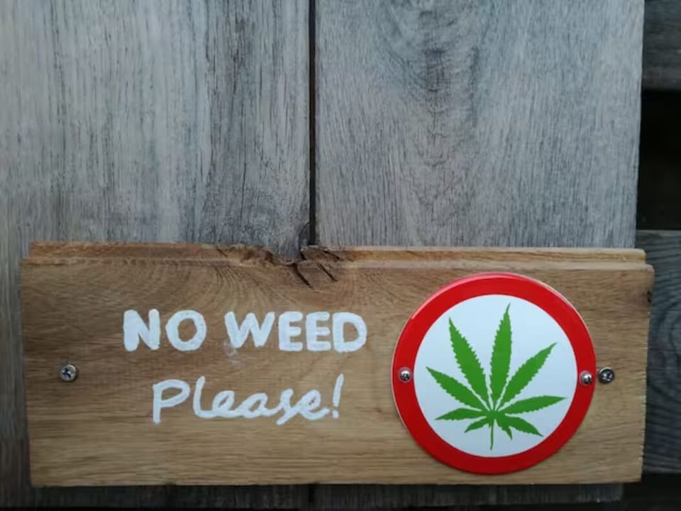 * No drugs please! (Inside or outside Beachstudio20).