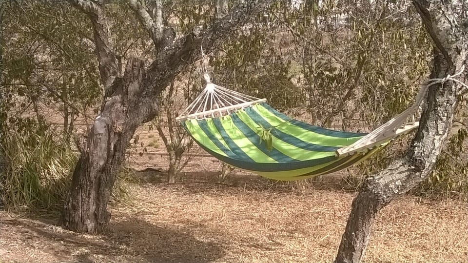 Outdoor relaxation