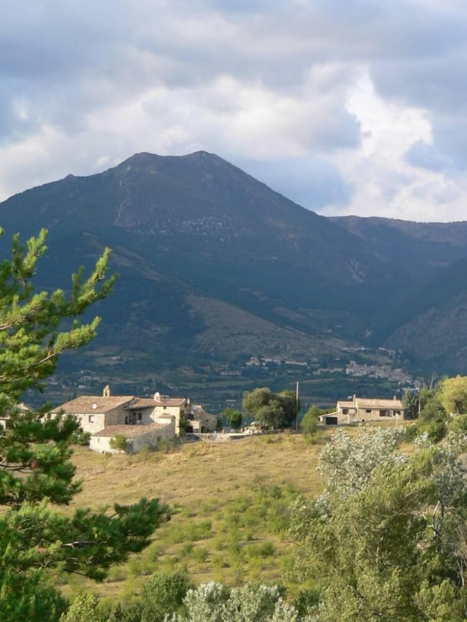 Overview