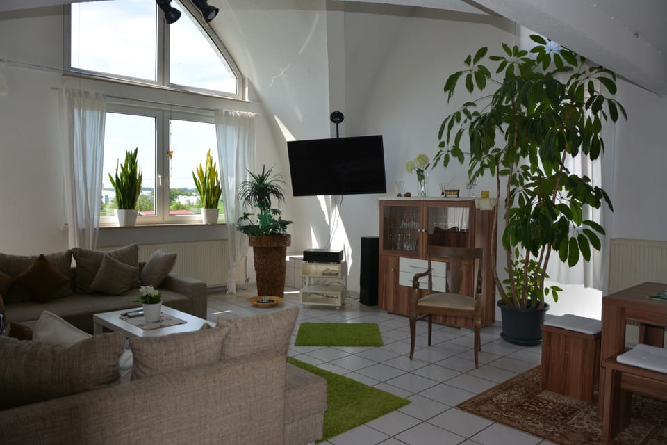 55-inch flat-screen TV with satellite channels, TV