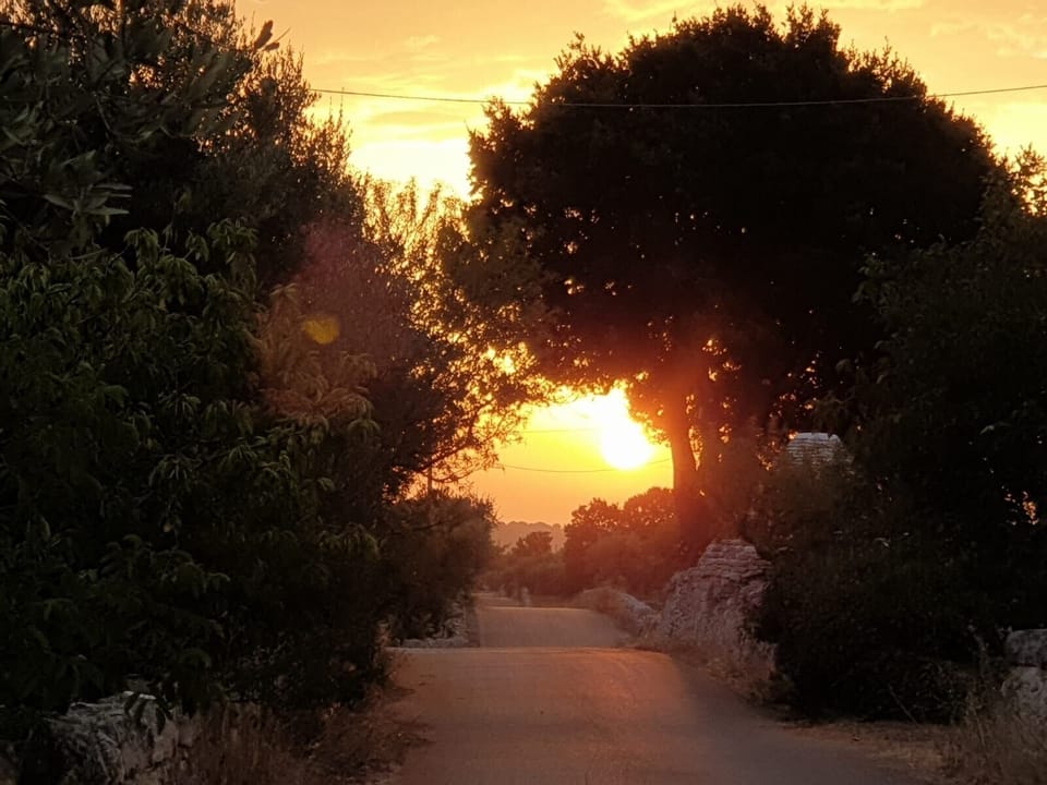 Early morning