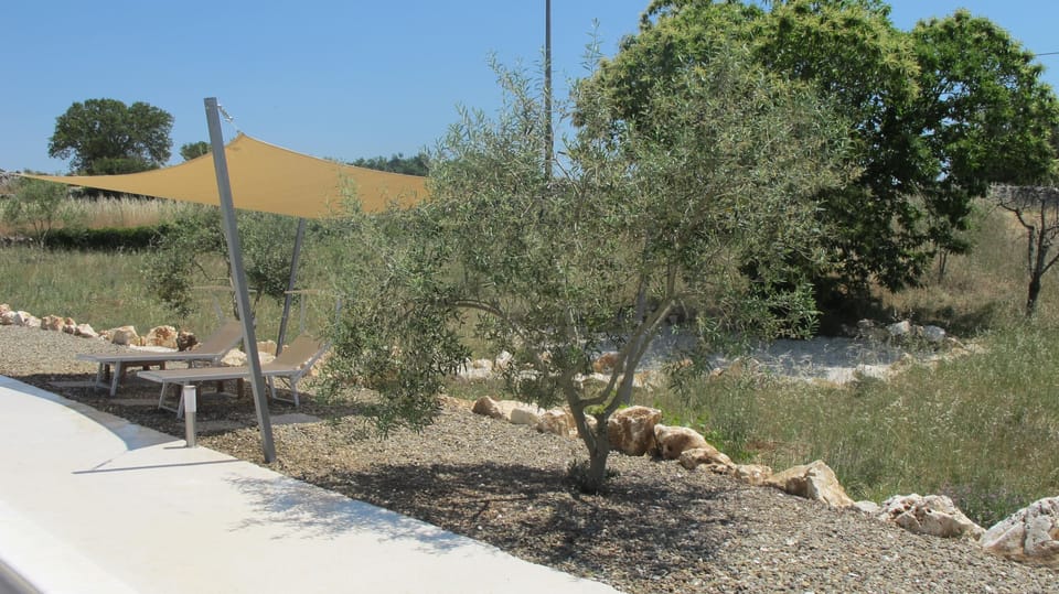 Shade-under the sail or the chestnut tree