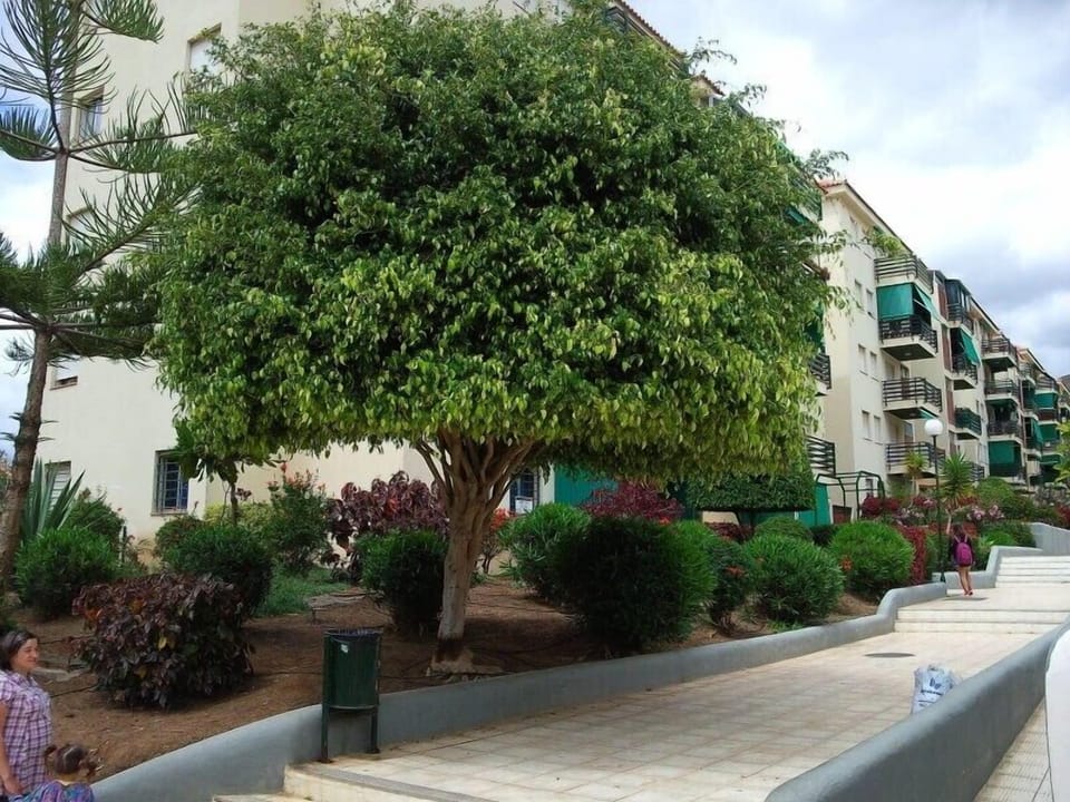 Garden inside the apartment-complex