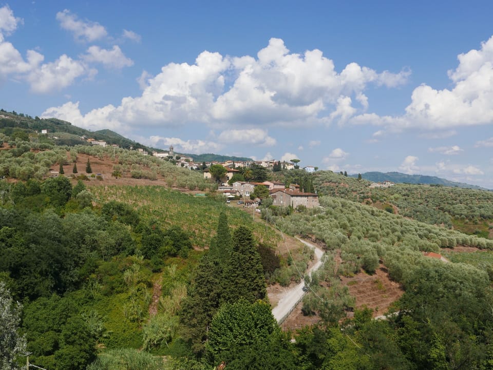 Appartement with pool, located between olive treees and wine rapes Apartment in Capannori