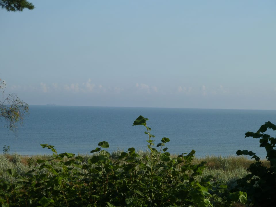 Beach/ocean view