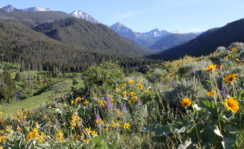 The Shoshone name for the Gallatin Valley is the Valley of Flowers.