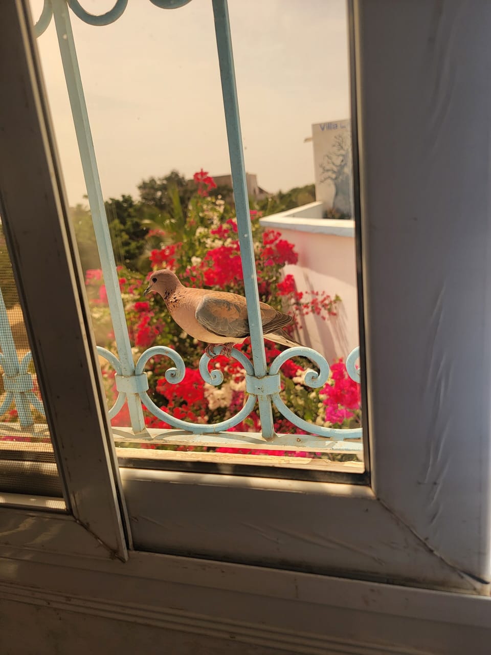 View from property