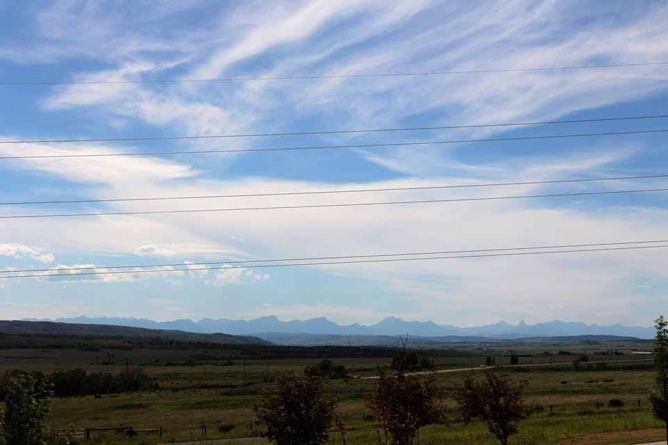 Another backyard view
