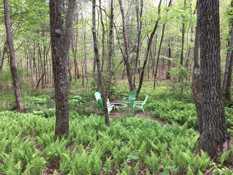 Firepit & 4 chairs, by the creek.