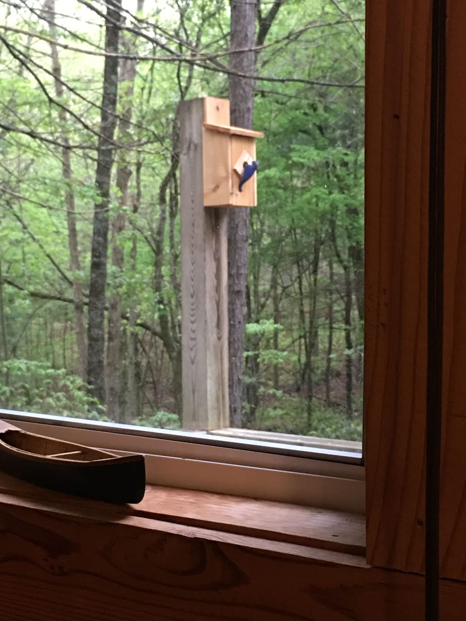 Bluebird House