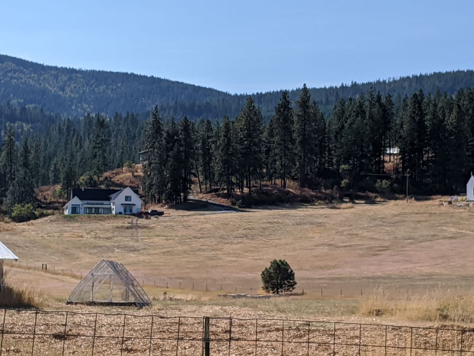 summer view from the back porch