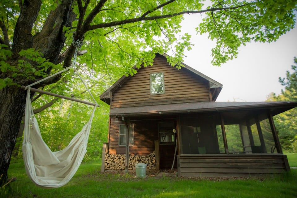 The tree swing.