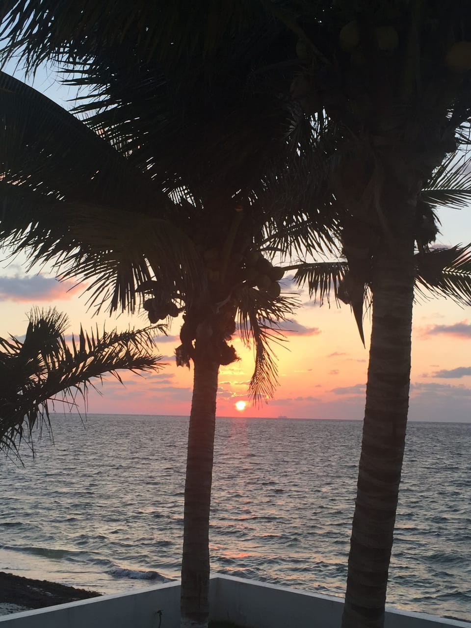 Early morning sunrise
