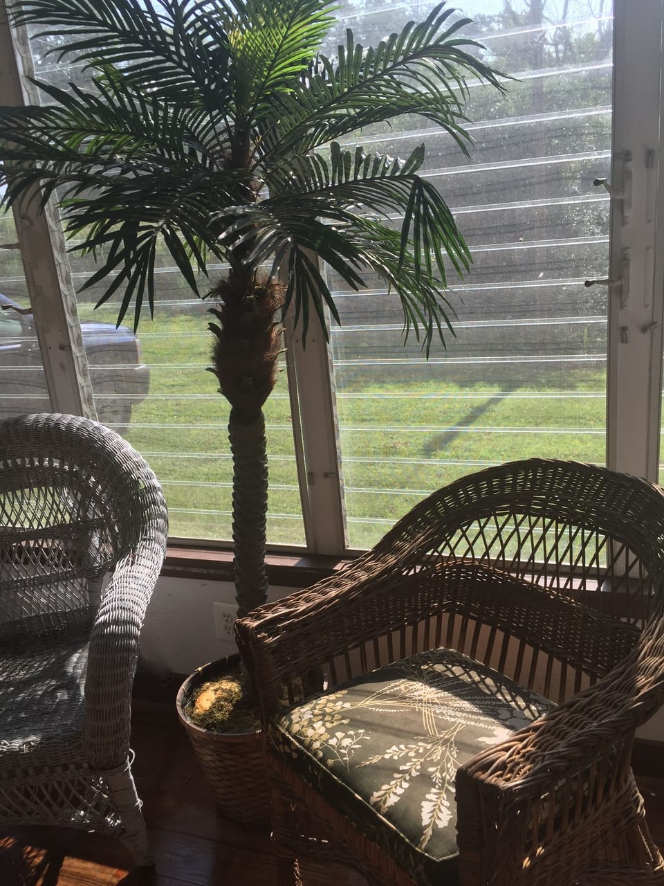 beautiful lawn beyond