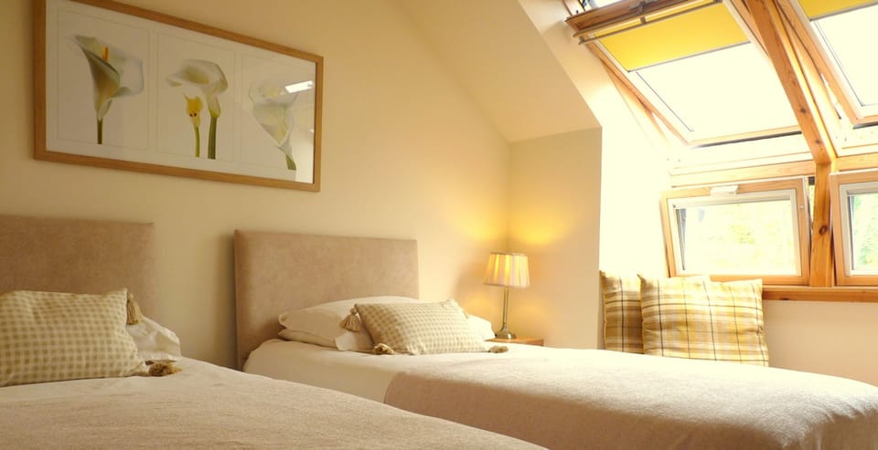 Premium bedding, WiFi, bed sheets