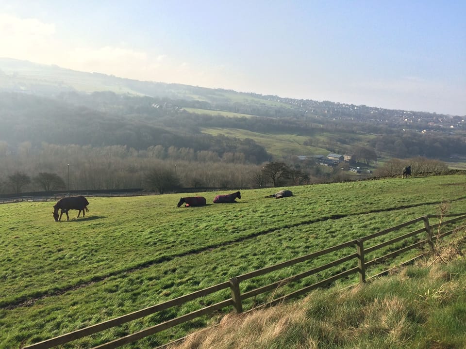 Views of Disley Cheshire