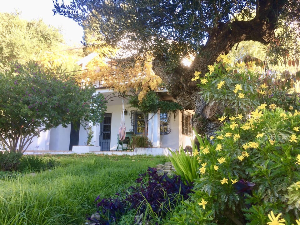The house seen from the garden
