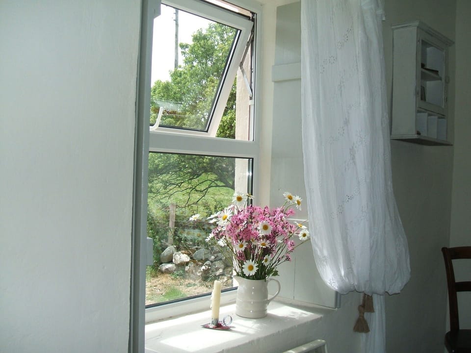 Wild flower selection from hedgerow. Panoramic view from the shuttered window.