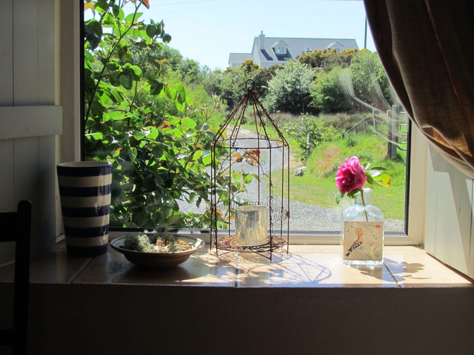 Window.