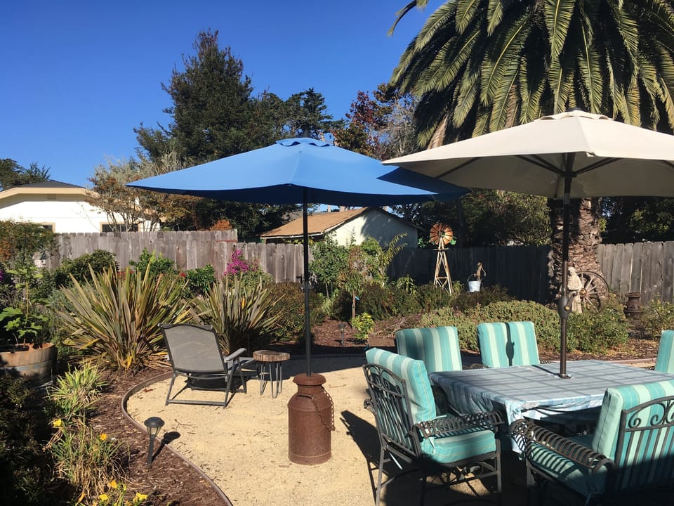 Landscaped fully fenced backyard with fruit trees and flowering shrubs.
