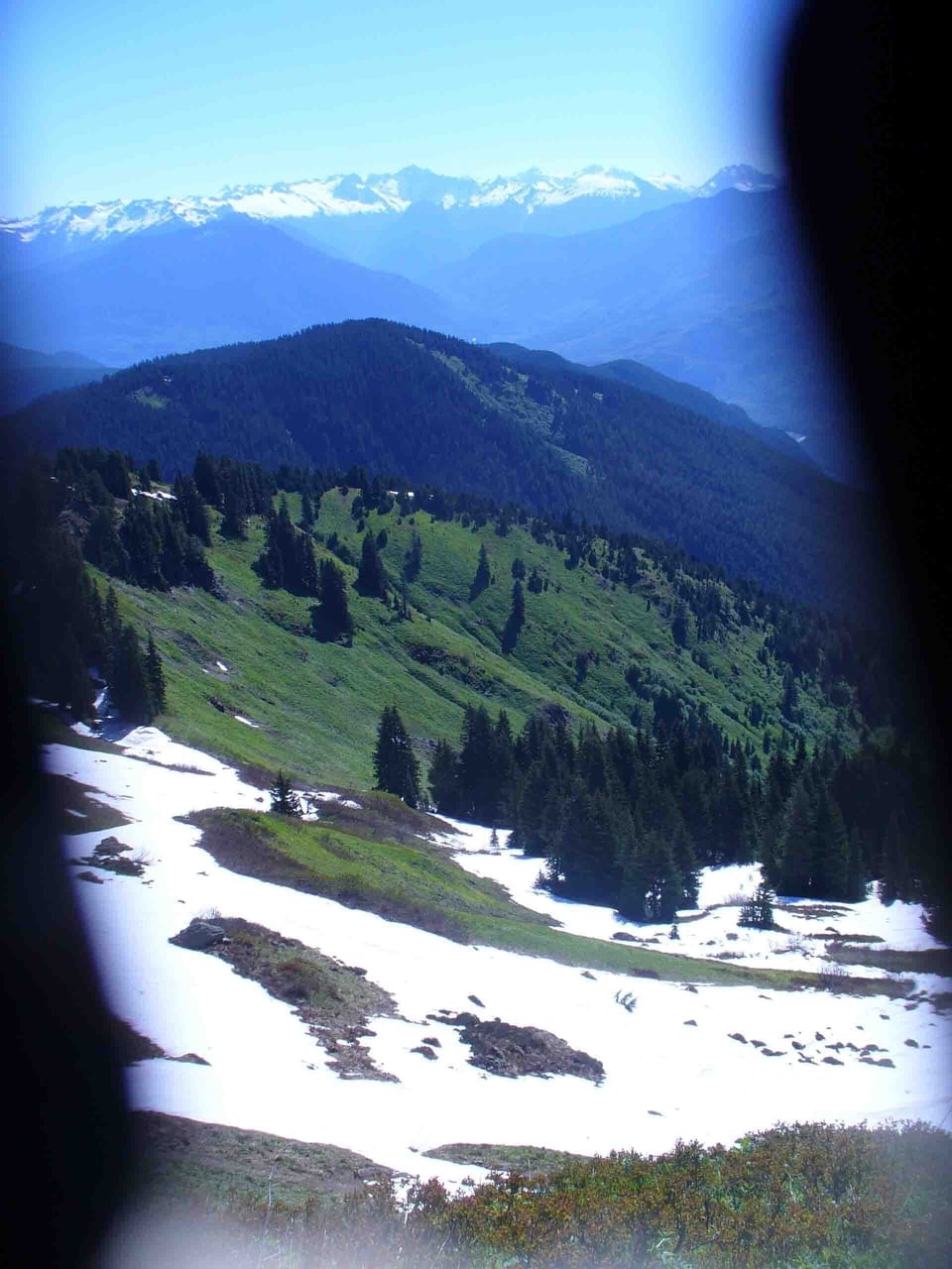 alpine meadow of Sauk Mountain