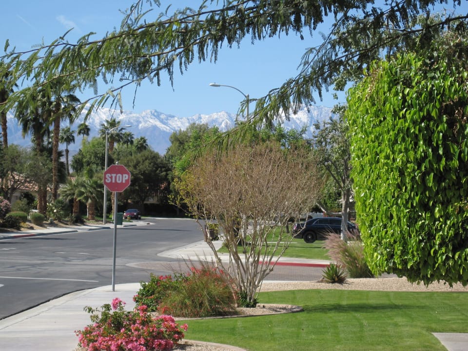 Mt. San Jacinto from the front yard