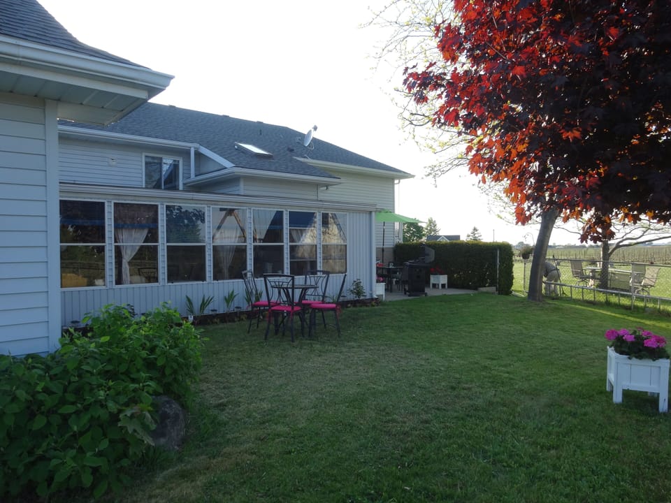 Private patio, garden and yard