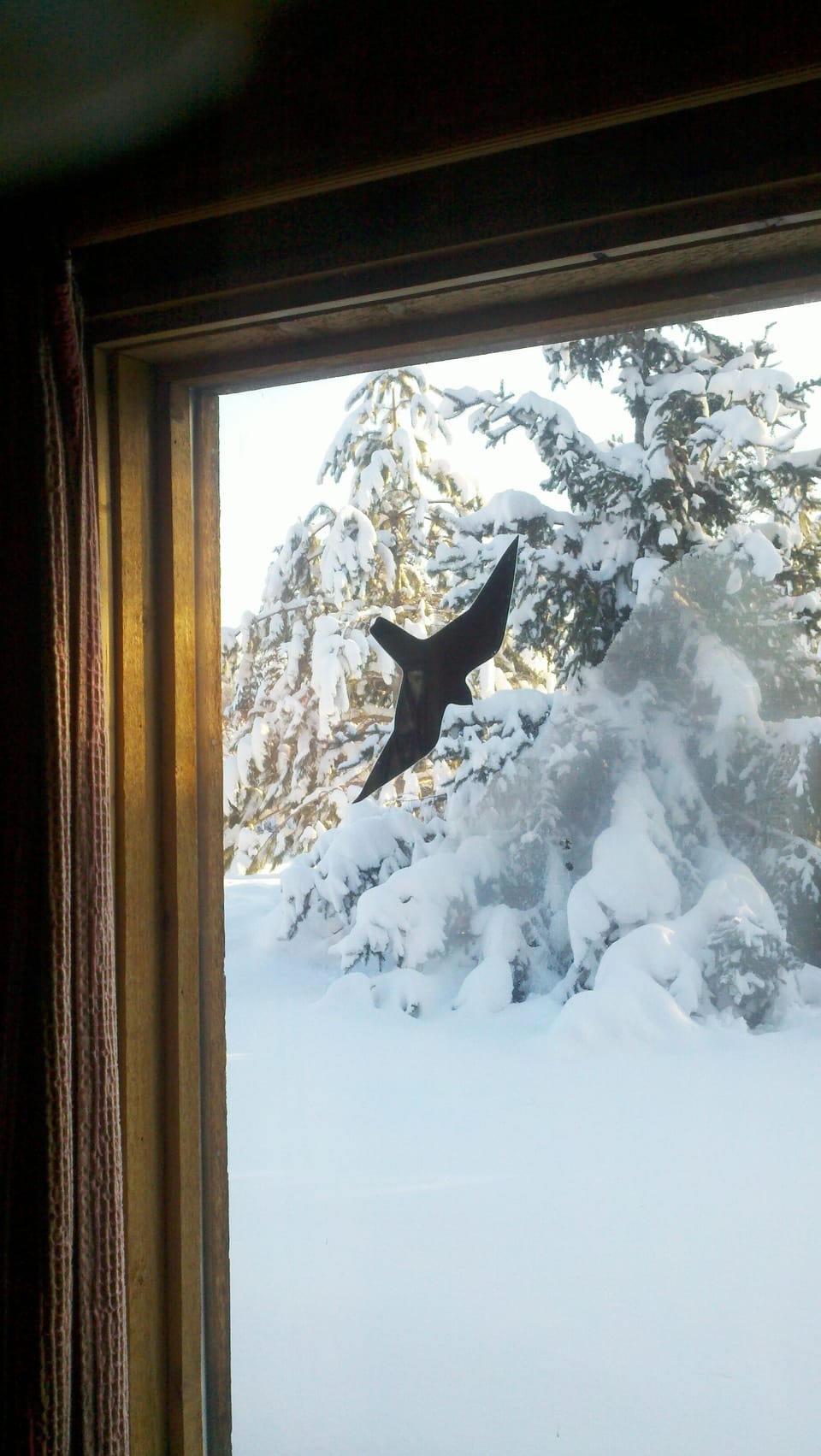 Lots of snow