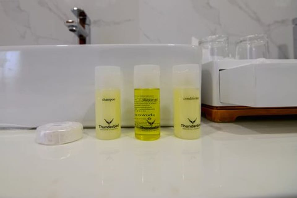 Separate tub and shower, free toiletries, hair dryer, bathrobes