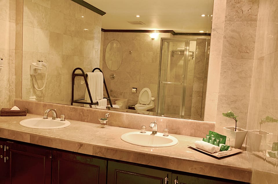 Separate tub and shower, free toiletries, hair dryer, bathrobes
