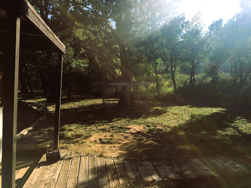 Back yard south