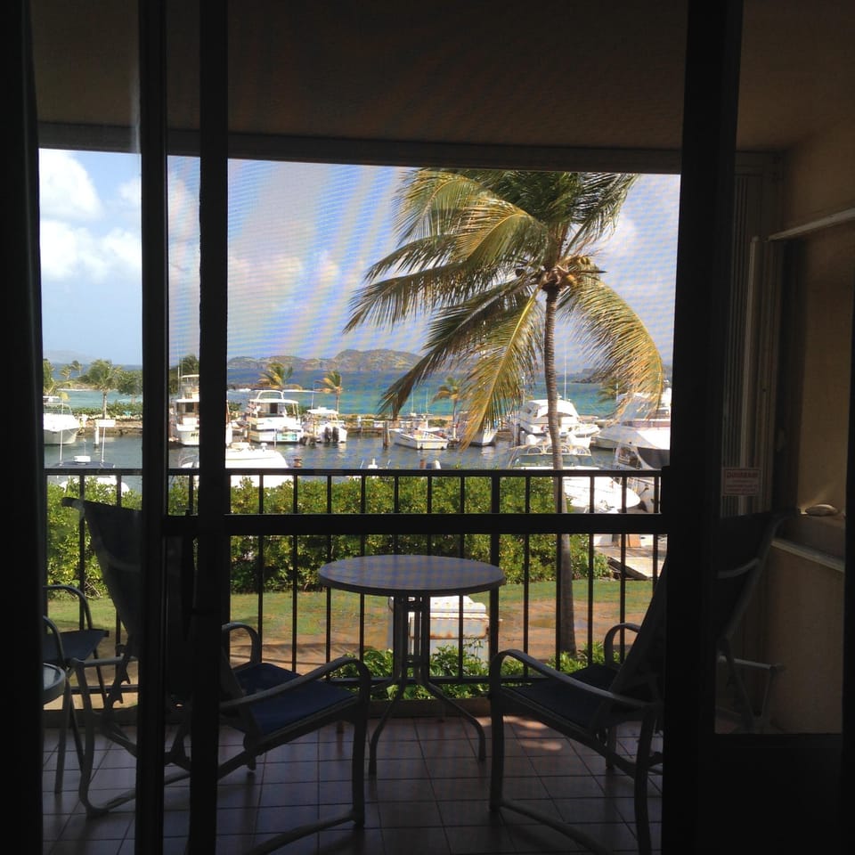 View from Living room